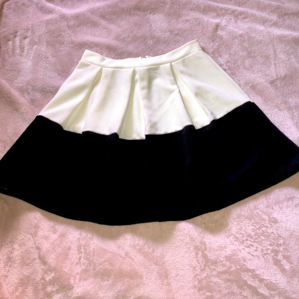 Pleated Skirt